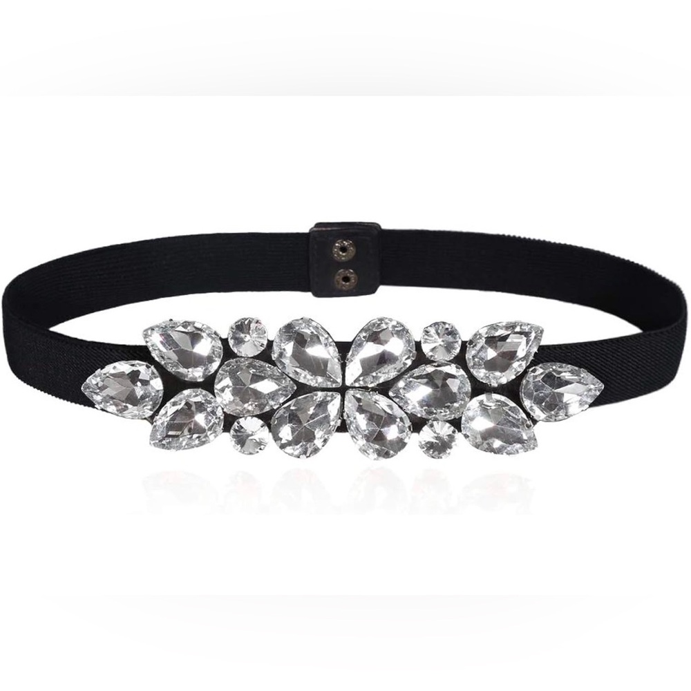 Elegant Black and silver dress belt